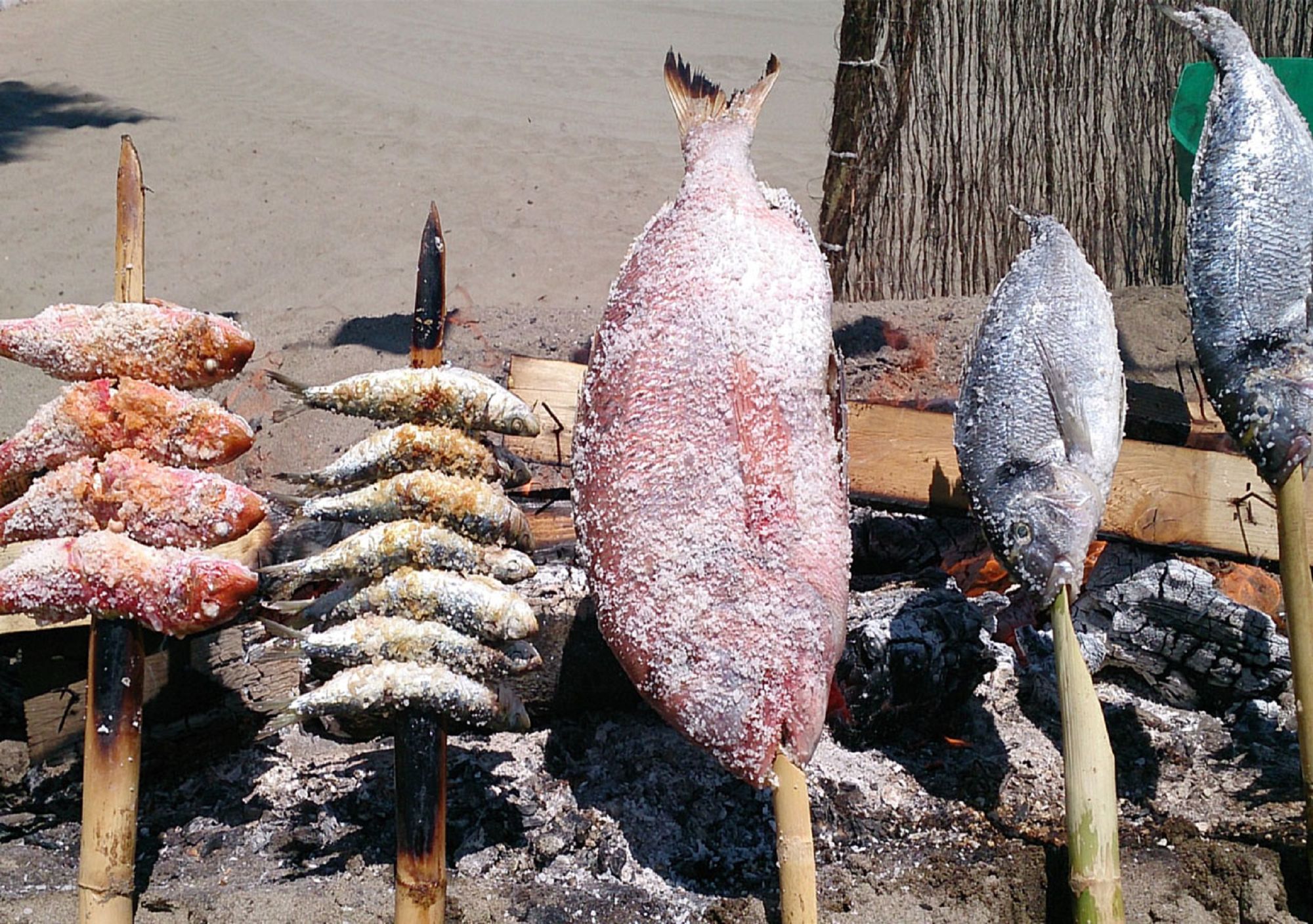 visitar Gastronómica Marinera en Estepona